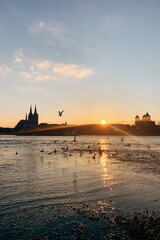 Processed with VSCO with e1 preset