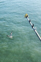 Processed with VSCO with f2 preset