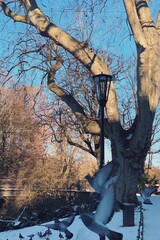 Processed with VSCO with s5 preset