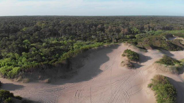 Aerial reveals where sand dunes meet dense forest on Argentina coast