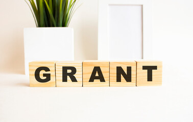Wooden cubes with letters on a white table. The word is GRANT. White background.
