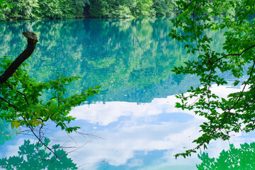 Blue lake Chirik-Kel and tree branches in the Cherek gorge