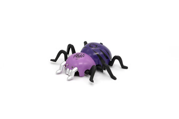Plastic bug toy isolated white