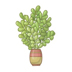 Cartoon green plant in striped pot. Euonymus. Vector illustration isolated on white background