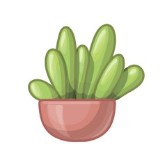 Cartoon green plant in brown pot. Vector illustration isolated on white background