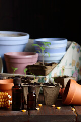 Seedlings in biodegradable cardboard pots, bottles with natural fertilizer and clay flower pots on dark moody background, closeup, eco farming and gardening, cottagecore living, slow life concept