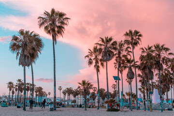 Venice Beach, California sunset with palm trees and buildings in pink and teal within Los Angeles - obrazy, fototapety, plakaty