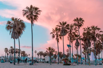 Fotobehang Venice Beach, Californië zonsondergang met palmbomen en gebouwen in roze en groenblauw in Los Angeles © James Shin
