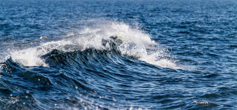 Ocean Wave with Whitecaps © Eleanor