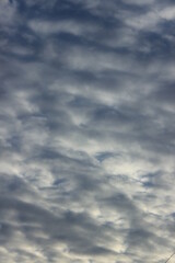 Small dark clouds lit by the sun. Russia.