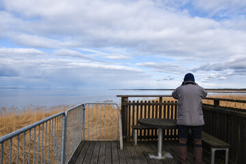 Birder observing from a platform in the reeds