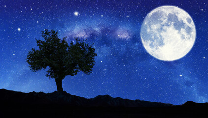 Naklejka na ściany i meble paisaje nocturno en las montañas bajo la luna
