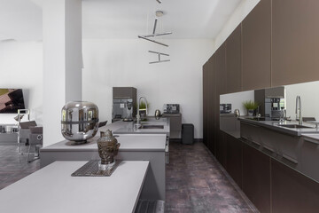 Grey modern kitchen with island and silver accessories