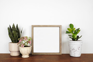 Mock up wood square frame with a variety of houseplants. Wooden shelf against a white wall. Copy space.