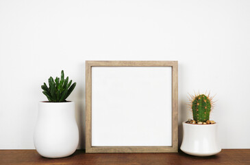 Mock up wood square frame with succulent and cactus plants. Wooden shelf against a white wall. Copy space.