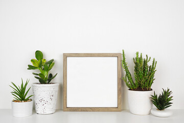 Mock up wood square frame with a variety of succulent and cactus plants. White shelf against a...
