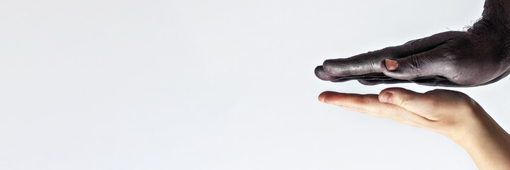 Black male and white female hands, open palms to each other. A symbol of the struggle for black rights in America. The concept of equality and the fight against racism.Banner.