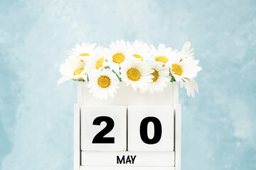 cube calendar for May with daisy flowers over blue with copy space