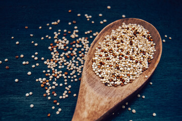 Mix of red, white and brown quinoa in wooden spoon at blue background.