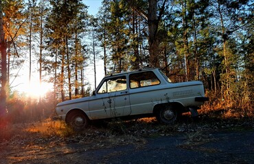 Obraz na płótnie Canvas old car in the woods