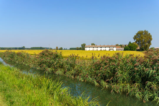 Landscape along the canal of Bereguardo at summer