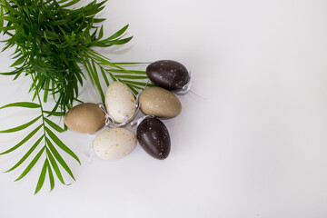 Easter eggs next to a green houseplant Hamedorea are on a light isolated background. Background for Happy Easter. There is a place for your text.