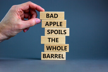 Bad apple spoils the whole barrel symbol. Wooden blocks with words 'bad apple spoils the whole barrel'. Businessman hand. Beautiful grey background. Business, popular quotation concept. Copy space.