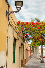 Fototapeta na wymiar A street in a small exotic town with street lamps and tropical plants