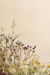 Small flowers on grey background