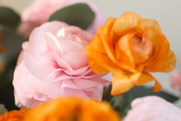 Pink and orange flowers 