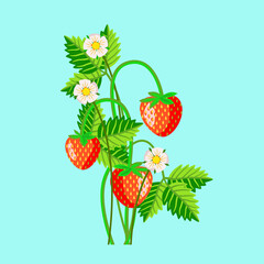 Strawberries with flowers and leaves pattern.