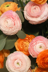 Obraz na płótnie Canvas Pink and orange flowers 