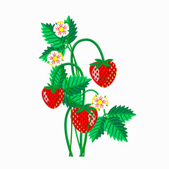 Strawberries with flowers and leaves pattern.