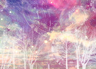 fireworks in the night