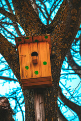 Yellow birdhouse on a tree against a blue sky. Spring. Birdsong in nature.