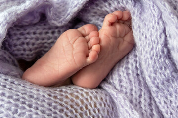 Ein neugeborenes Baby streckt seine winzigen Füße unter einer kuscheligen hellblauen Wolldecke hervor