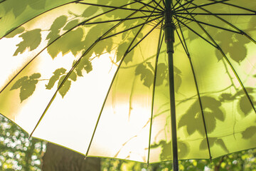 Open umbrella on green nature background with leaf shadows. Bright parasol in sunny spring day concept. Summer light happy backdrop. Horizontal fresh springtime