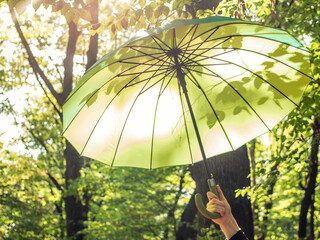 Open umbrella in hand on green nature background with leaf shadows. Bright parasol in sunny spring day concept. Summer light happy backdrop. Horizontal fresh springtime