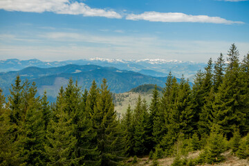 Panoramic view of picturesque Carpathian Mountains landscape with forest slopes, mountain ranges and peaks. 