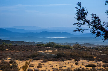 Lake on the mountain