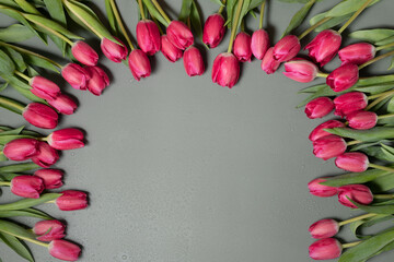 Closeup of beautiful red Tulip flowers on a dark green background. Spring-summer holiday.