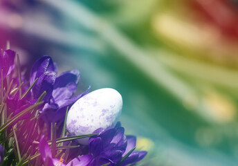 Easter composition in rainbow colors. Purple Easter egg in beautiful purple colors.