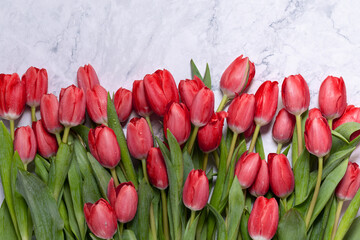 card with beautiful tulip flowers on a marble background. holidays celebration