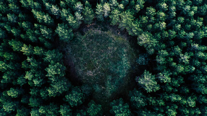 Precioso paisaje picado en el que se ve un circulo de arboles.