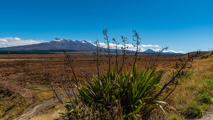Tongariro National Park