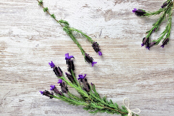 Zenith view. Lavender, natural plant, twigs on light colored wooden table.