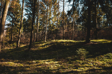 Obraz premium Achterberge