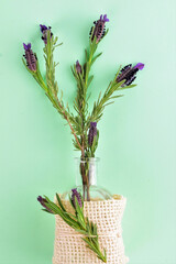 Natural bouquets of lavender, medicinal plant, on light green background.
