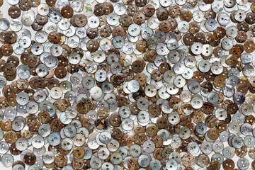 Set of small buttons made of natural mother of pearl