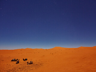 Fototapeta na wymiar Camels sleep under the starry sky in sahara desert
